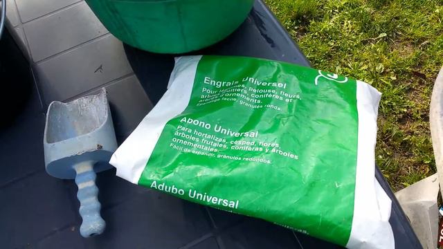 Ma méthode de bouturage des brugmansias - 9/15