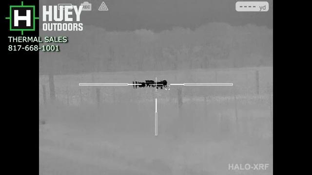 TEXAS FERAL HOG PEST CONTROL смотреть онлайн