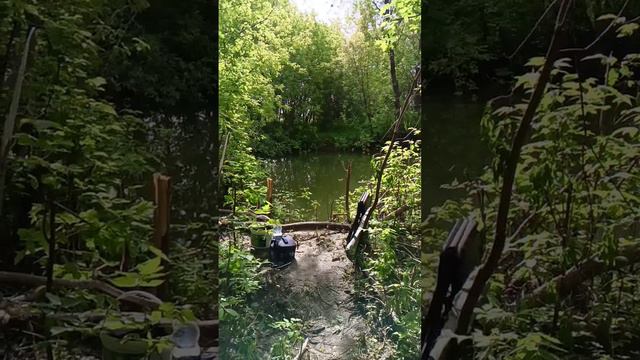 Рыбалка как в джунглях. Природа Сибири. смотреть онлайн