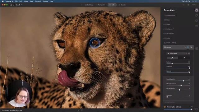 Luminar Coffee Break: How to enhance animal eyes смотреть онлайн