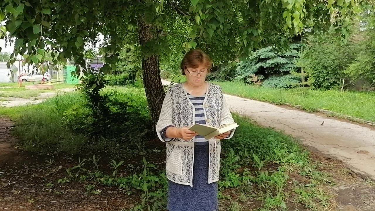 Константин Паустовский "Теплый хлеб" (отрывок). Читает Арсентьева Надежда Николаевна #РусскиеРифмы смотреть онлайн