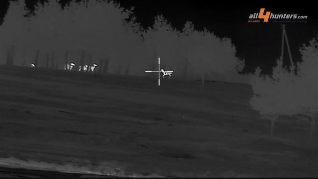 Test and video: Pulsar Thermion 2 LRF XP50 PRO смотреть онлайн