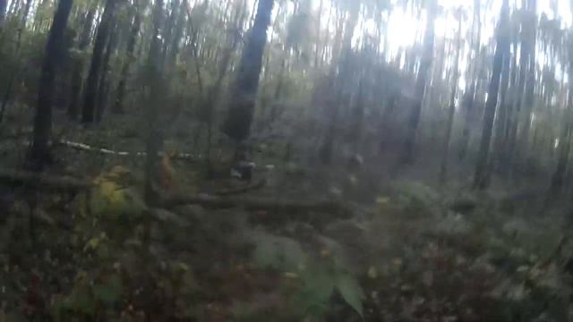 Охота с РЕЛкой в Удмуртии. смотреть онлайн