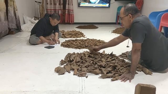 Агаровое дерево/Agarwood  | Почему оно такое дорогое ? смотреть онлайн