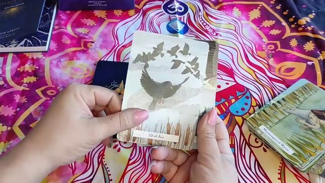Revue : The witches wisdom tarot смотреть онлайн