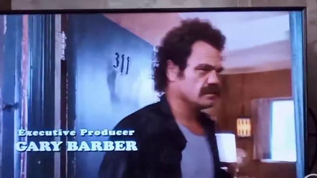 Эс Винтура и розыск домашних животных