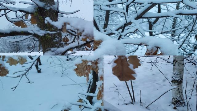 ДОМОЧАДЦЕВ ДЕНЬ 10 января. Не оставайтесь в одиночестве сегодня. Старинные поверья смотреть онлайн