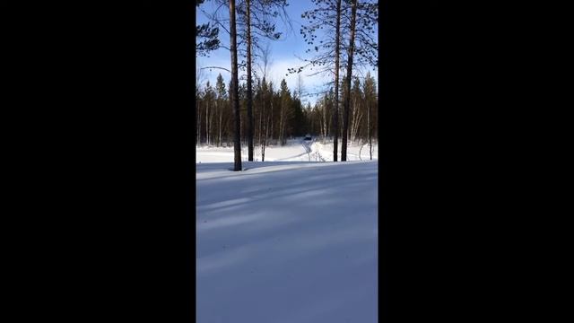 Mar 29, 2015 смотреть онлайн