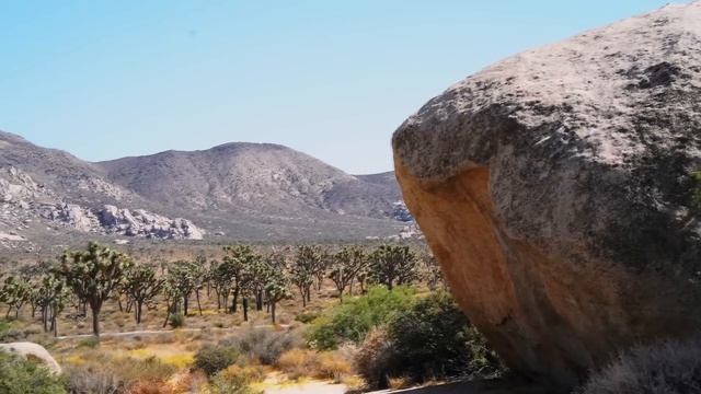 ЧЕТЫРЕ ДНЯ ЖУТКОГО ВЫЖИВАНИЯ! История Клэр Нельсон смотреть онлайн