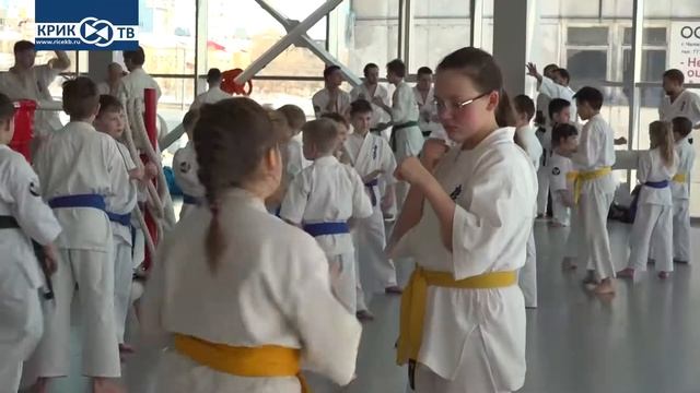 Визит Федерации Каратэ Киокусинкай Свердловской области в г.Челябинск с мастер-классом смотреть онлайн