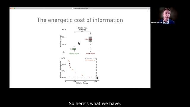 Malcolm Maclver - Tuning movement to optimize information harvesting and the transition to planning смотреть онлайн