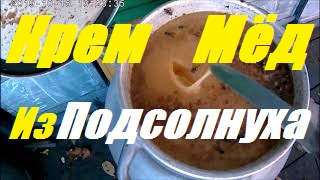 Крем мёд из подсолнечного мёда.Количество пчелы работающей на взятке.Осушка сот. смотреть онлайн