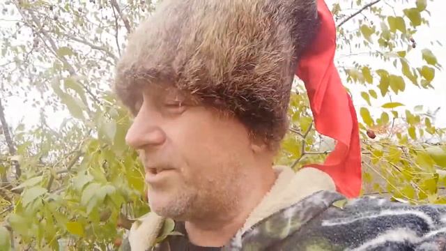 Китайский финик, финибиус, жужуба, ююба, унаби... ?? смотреть онлайн