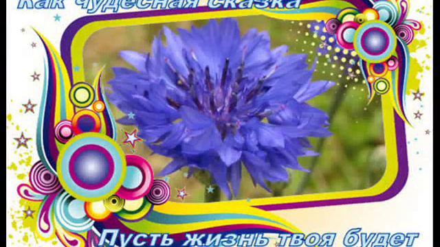 Алле Минцис смотреть онлайн