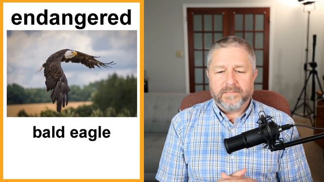 Let's Learn English! Topic: Describing Animals! 🐎🦁🐕 (Lesson Only) смотреть онлайн