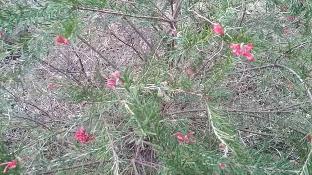 Начинается весна... смотреть онлайн