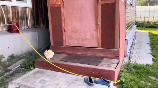 Влог! Мы приехали на дачу🤗🏠 смотреть онлайн
