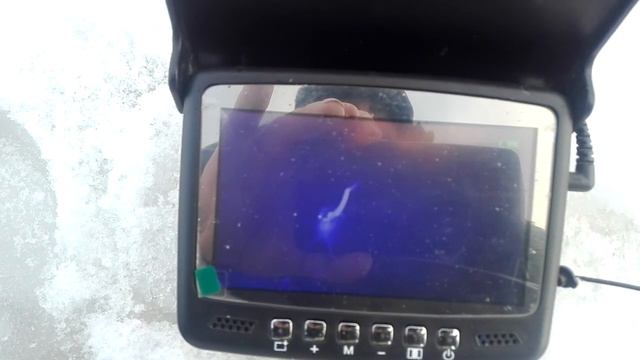 окунь атакует Тыздрика смотреть онлайн