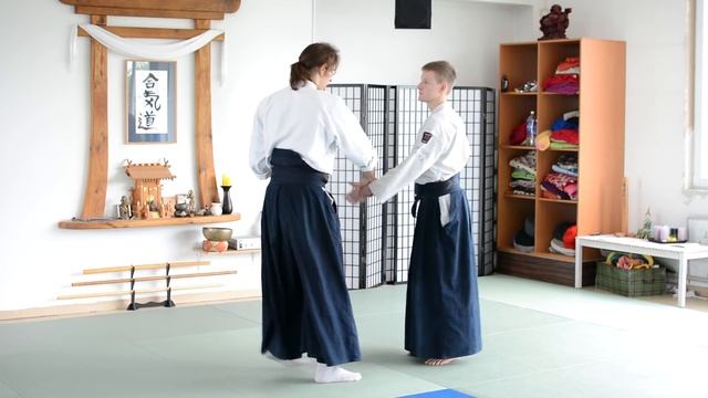 [Aikido Tutorial] All Techniques Introduced смотреть онлайн