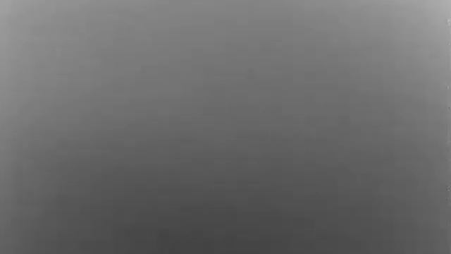 Night Pearl Seer 50 Plus thermal - hunting Wild Boar 4 смотреть онлайн