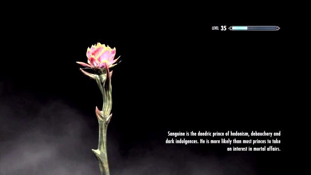 Skyrim - Load Screen - Pink Flower смотреть онлайн