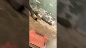 снятие кпп на MAN