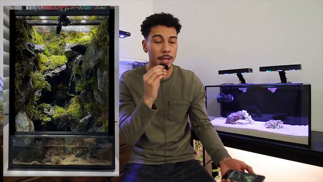 Pinterest Paludariums - pt.2 смотреть онлайн