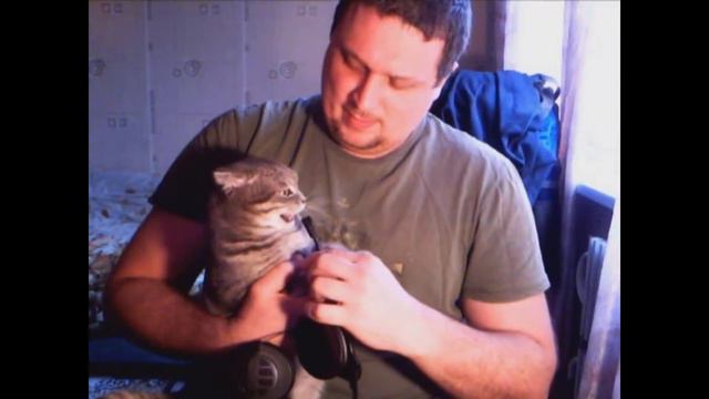 Эксперимент с титрами и котом с оригинальным закадровым смехом смотреть онлайн