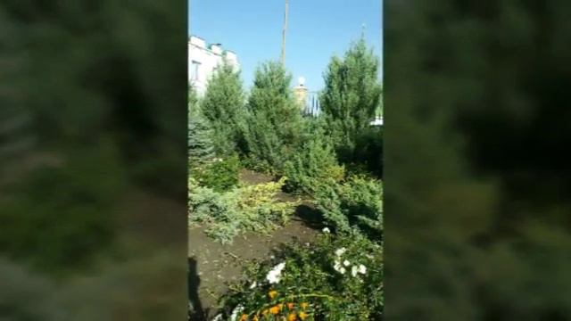 Фотоотчет о поездке в село смотреть онлайн