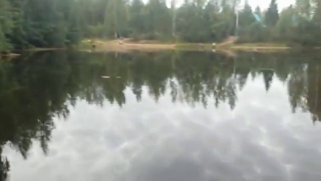 Фотосессия на пруду (красивое видео) смотреть онлайн