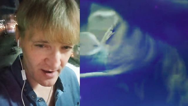 «КРЫЛЬЯ» – Наутилус помпилиус ( кавер Стас Дзюбан) смотреть онлайн