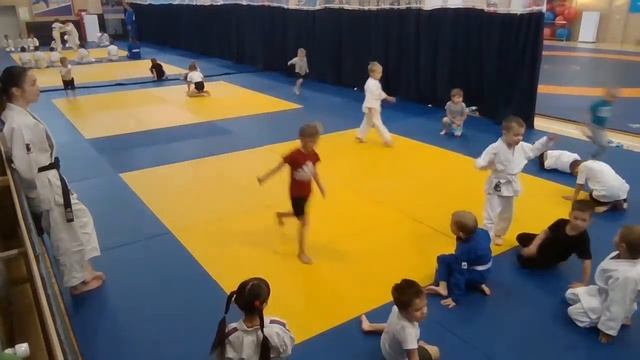 Тренировка младшей группы дзюдо 27.10.2022 (16:30) смотреть онлайн