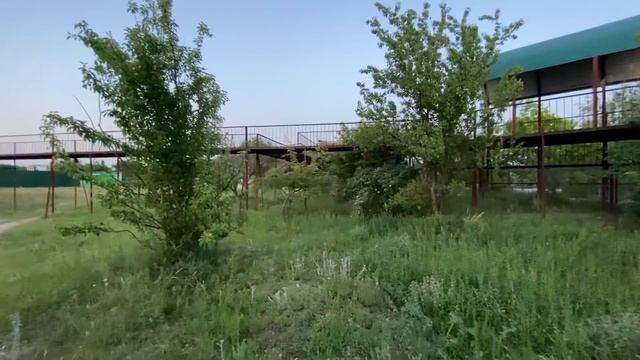 Львы из прайда вожака ВОЗВРАЩАЮТСЯ ДОМОЙ ! Russian Lion man ! смотреть онлайн