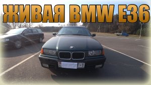 BMW E36/ БМВ Е36. Легендарная 3-ка БМВ