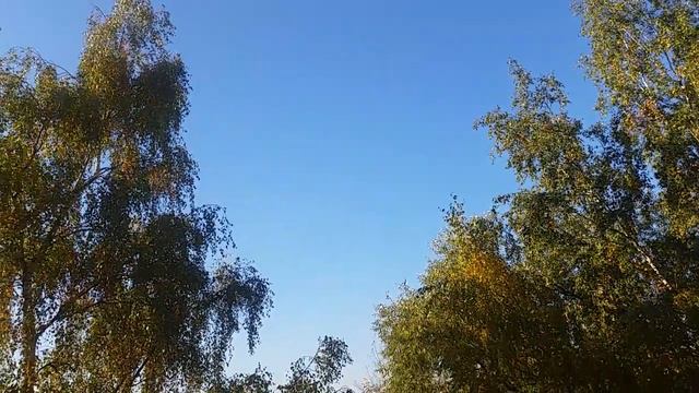 Магический подарок от волшебника 6 октября 2021 года смотреть онлайн