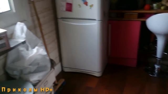КОТЫ И ТОСТЕРЫ!!! Тостеры атакуют котов!!! смотреть онлайн