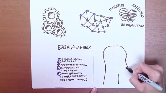 Теория государства и права смотреть онлайн