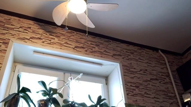 Влог? Поздний Завтрак/ Почему горько смотреть онлайн