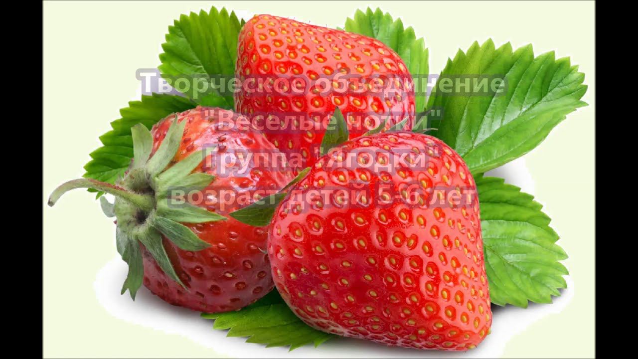 Ягодки открытый урок смотреть онлайн