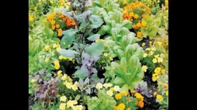 шесть соток-грядки для огорода смотреть онлайн