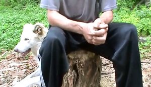 Очень Подробно! Как Правильно Обкатать Двигатель После Капитального Ремонта