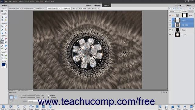 Learn How to Link Layers in Adobe Photoshop Elements 2022: A Training Tutorial смотреть онлайн