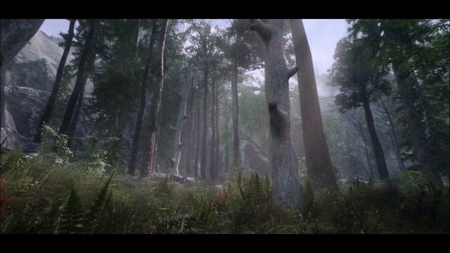 A Fantasy Forest Overhaul F. Skyrim 3D Trees 1.2 Teaser - Skyrim SE - 2020