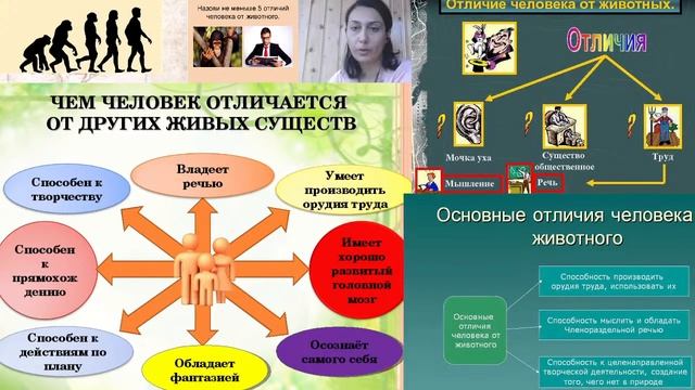 Общество и Я "Отличие человека от животного" смотреть онлайн