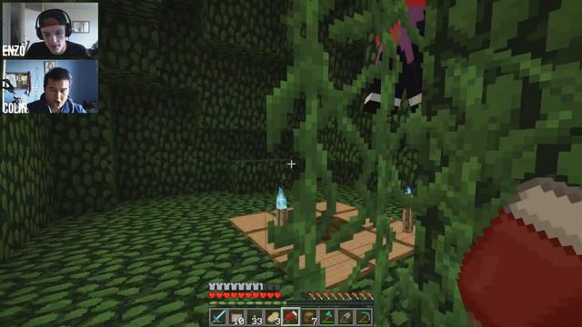 Minecraft Survival #80 - WE HEBBEN EEN AAP! смотреть онлайн