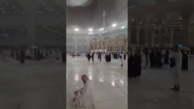 в арабистони сауди мовни. смотреть онлайн