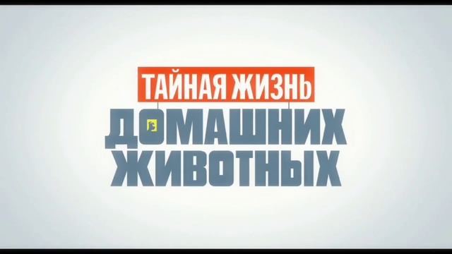 Все Логотипы Анимационных трейлеров Illumination ( 2010-2022 )