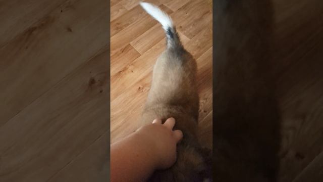 Все в сборе смотреть онлайн