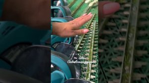 КАК ЧИСТИТЬ ? КУСТОРЕЗ⁉️ Я все очень просто делаю, губка и Фери.