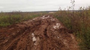 Отзыв о внедорожной резине «Форвард Сафари 540» , 29» спустя год эксплуатации на ниве